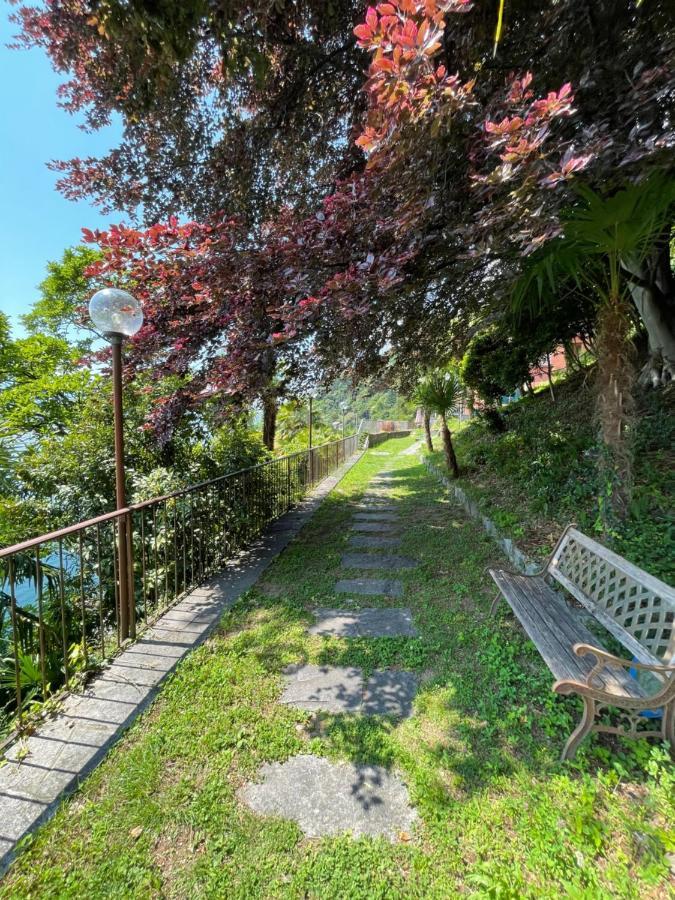 Villa Angelina Guest House Каннеро-Ривьера Экстерьер фото